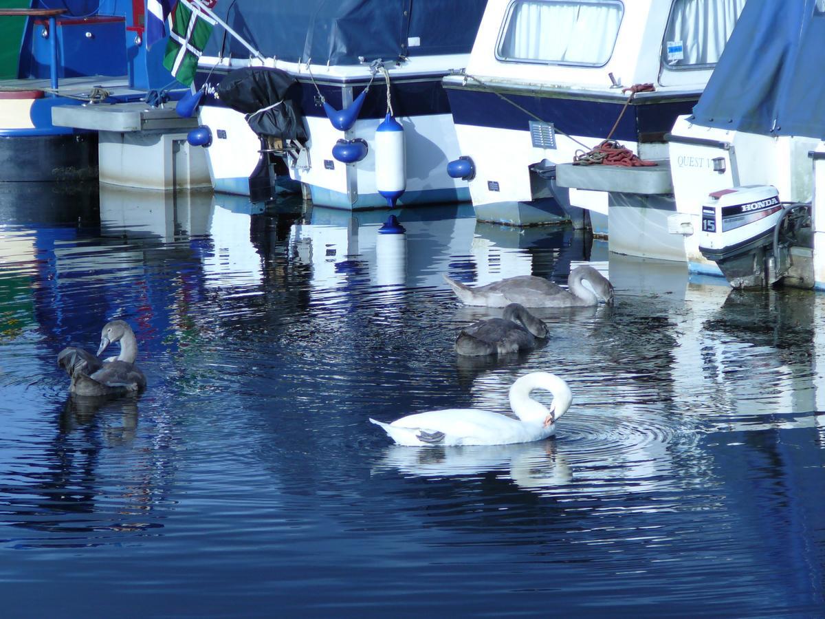 The Boat House Hotel Kilsyth Buitenkant foto